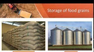 'Harvesting, Threshing, Winnowing & Storage of Food Grains -NCERT CBSE Class 8'