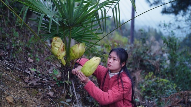 'Cooking with Wild Ingredients from the Mountain'