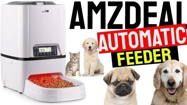 'amzdeal Automatic Cat Feeder: 6L Pet Feeder Dog Food Dispenser'