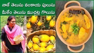 'పండు వంకాయ పులుసు/Village food/ Village cooking/India traditional recipe/ Brinjal /vankaya pulusu'