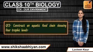 'Q13 Construct an aquatic food chain with four trophic levels.'