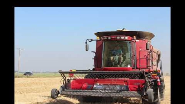 'Coaldale-Lethbridge Community Food Grains Harvest'