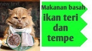 'Membuat Wet Food/Makanan Basah untuk kucing menggunakan Ikan Teri dan Tempe'