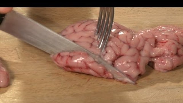 'Raw Brain Taste Test'