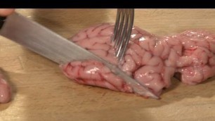 'Raw Brain Taste Test'