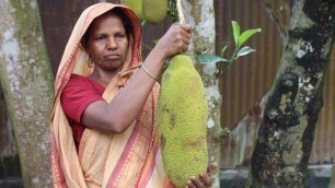 'Village Food | Jackfruit recipe | Grandmother recipes-42'