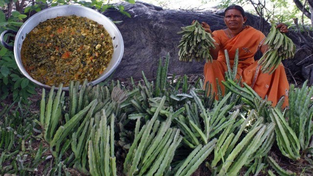 'Caralluma fimbriata recipe |  Kullee Mooliyan | ragi koozh | Village Food | Side dish recipes'