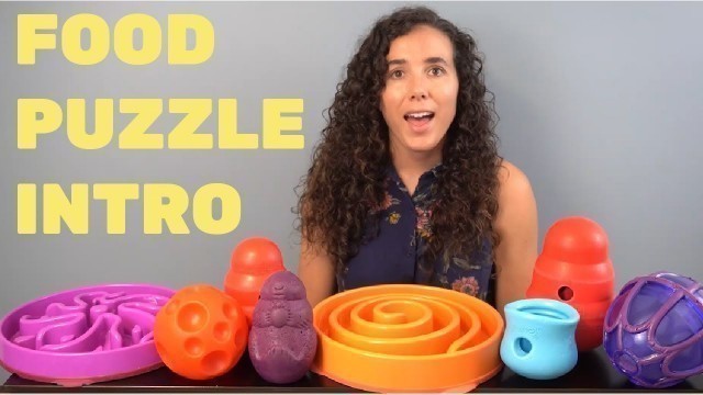 'What are Dog Food Puzzles? | Food Puzzle Reviews | An Intro to Feeding Your Dog from Puzzle Toys'