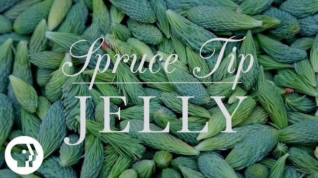 'Spruce Tip Jelly | Kitchen Vignettes | PBS Food'