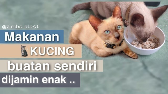 'CARA MEMBUAT WET FOOD SENDIRI DIRUMAH'