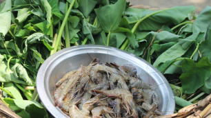 'Village food | Taro leaf with prawn | Grandmother recipes-27'