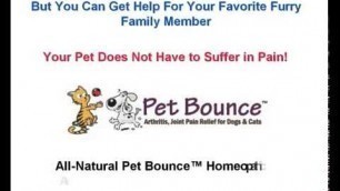 'Pet Bounce Reviews   Pet Bounce Pet Joint Pain Relief   Dog Arthritis Pain Relief'