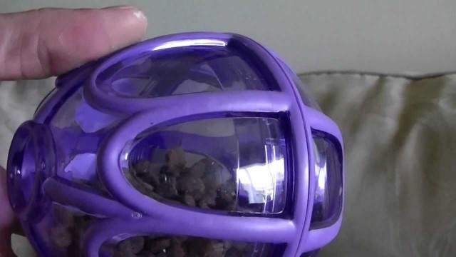 'busy buddy kibble dispenser review'