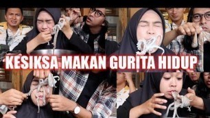 'PERTAMA KALI MAKAN GURITA Hidup! - MUKBANG KOREA Tersiksa