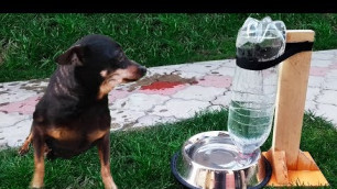 'DIY Puppy Dog Water Dispenser at Home'