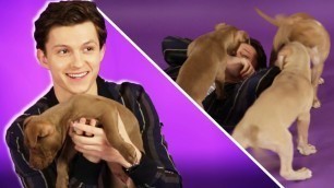 'Tom Holland Plays With Puppies While Answering Fan Questions'