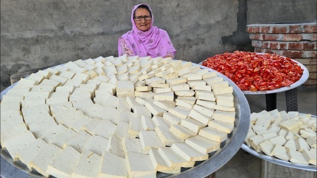 'SHAHI SOYA PANEER RECIPE BY GRANNY | VEG RECIPES | INDIAN RECIPES | TOFU | VILLAGE COOKING'