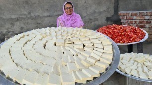 'SHAHI SOYA PANEER RECIPE BY GRANNY | VEG RECIPES | INDIAN RECIPES | TOFU | VILLAGE COOKING'