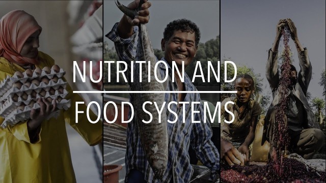 'FAO Policy Series: Nutrition and Food Systems'