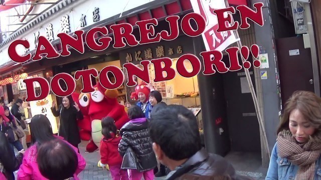 'Dotonbori Osaka Street Food. Comprando Cangrejo y Paseando!'