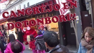 'Dotonbori Osaka Street Food. Comprando Cangrejo y Paseando!'