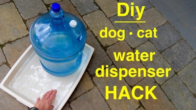 'How to make ● DOG / CAT ● Large Self-filling Water Dispenser'