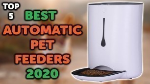 '5 Best Automatic Pet Feeder | Top 5 Automatic Pet Feeders for Dogs and Cats 2020'