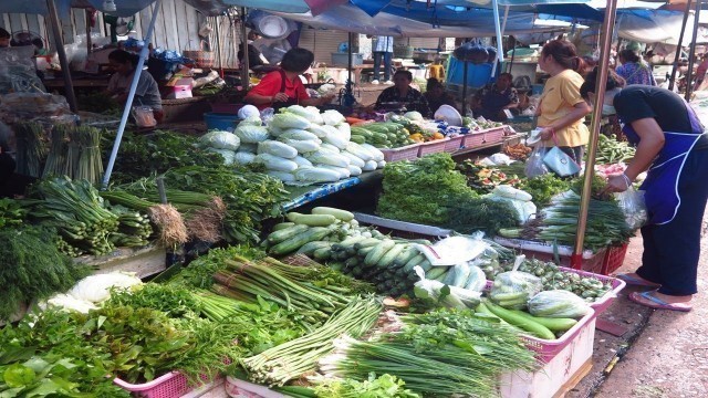 'Thai street Food - Khonkaen Morning Market'