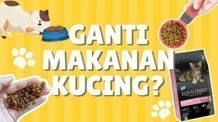 'CARA GANTI MAKANAN KUCING  |  EQUILIBRIO BIKIN KOTORAN KUCING GAK BAU !'