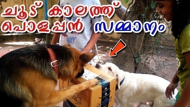 'Self Filling Water Bowl for Dogs : Automatic Water Feeder : Dog Water Dispenser : ചൂടത്തൊരു സമ്മാനം'