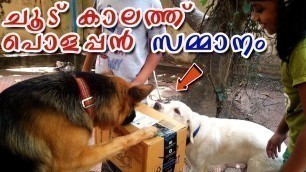 'Self Filling Water Bowl for Dogs : Automatic Water Feeder : Dog Water Dispenser : ചൂടത്തൊരു സമ്മാനം'