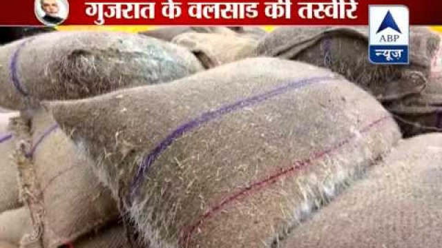 'Tons of food grains spoiled in Gujarat\'s Valsad due to heavy rain'