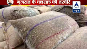 'Tons of food grains spoiled in Gujarat\'s Valsad due to heavy rain'