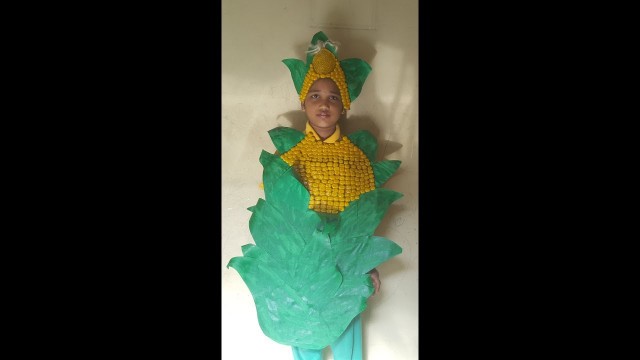 'School Fancy Dress Competition - Food Grains - Corn (Maize)'