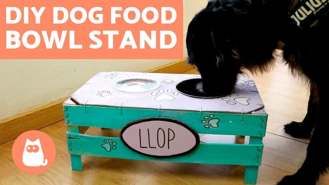 'DIY Homemade Dog Feeder - Easy and Practical'