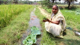 'Thankuni Pata Bata Recipe | Grandmother Natural Food Recipes | Healthy Village Food'