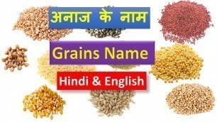 'Grains in Hindi - Grains name in Hindi'