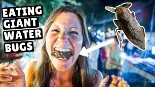 'BUGS + INCREDIBLE Thai Street Food | Chiang Mai Sunday Night Market'