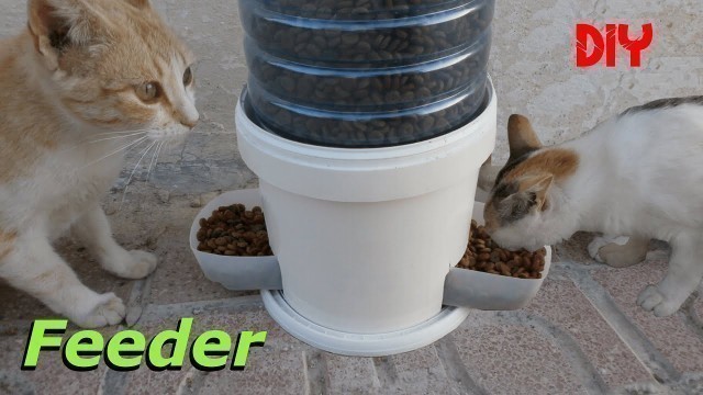 'DIY Automatic Food Dispenser / Pet Feeder'