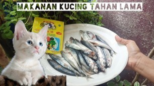 'Resep Membuat Makanan Kucing Auto GEMUK dan Sehat'