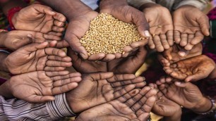 'Government gives relief to poor, to provide 5 kg free food grains in May & June'