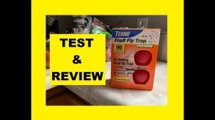 'How to get rid of fruit flies fast. Terro Fruit Fly Trap Test and Review'