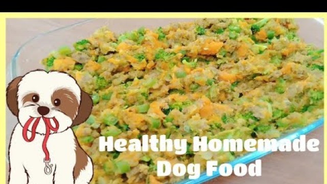 'Healthy Homemade Dog Food l Food For Yor Dog Ph l Phillipines'