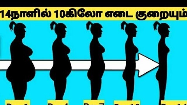 'Day 14 - 14Days Weight Loss Challenge Diet Plan Tamil/Weight Loss Diet Plan To Lose Weight in Tamil'