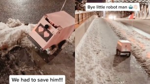 'Toronto Delivery Robot Vs. Canadian Winter'