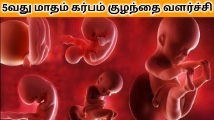 '5th month of pregnancy in tamil | Pregnancy 5th month tamil | Pregnancy 5th baby development of baby'