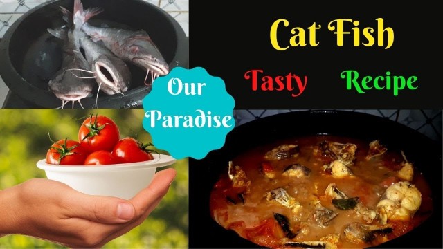 'Cat Fish || Etta Meen || Dad\'s Homely foods'