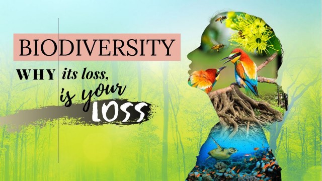 'BIODIVERSITY: Why Its loss, Is Your Loss @Food and Agriculture Organization of the United Nations'