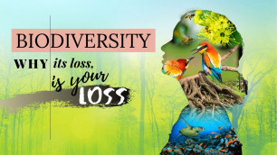 'BIODIVERSITY: Why Its loss, Is Your Loss @Food and Agriculture Organization of the United Nations'