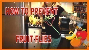 'How to prevent and get Rid of Fruit Flies'